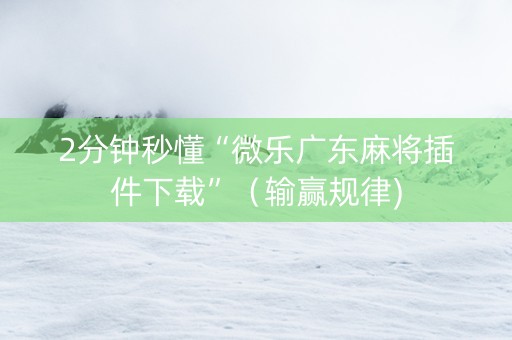 2分钟秒懂“微乐广东麻将插件下载”（输赢规律)