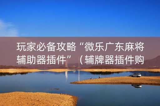 玩家必备攻略“微乐广东麻将辅助器插件”（辅牌器插件购买)