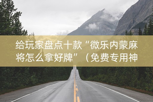 给玩家盘点十款“微乐内蒙麻将怎么拿好牌”（免费专用神器)