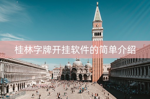 桂林字牌开挂软件的简单介绍