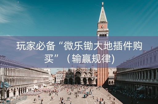 玩家必备“微乐锄大地插件购买”（输赢规律)