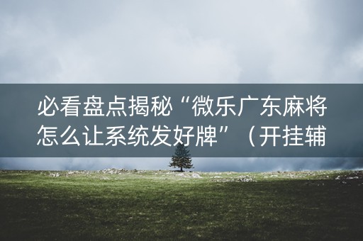必看盘点揭秘“微乐广东麻将怎么让系统发好牌”（开挂辅助器插件)