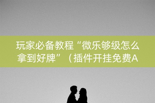 玩家必备教程“微乐够级怎么拿到好牌”（插件开挂免费AI)