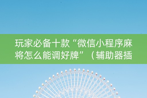 玩家必备十款“微信小程序麻将怎么能调好牌”（辅助器插件)