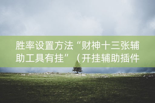 胜率设置方法“财神十三张辅助工具有挂”（开挂辅助插件)