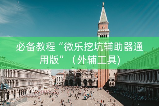 必备教程“微乐挖坑辅助器通用版”（外辅工具)