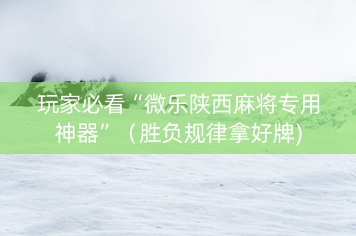 玩家必看“微乐陕西麻将专用神器”（胜负规律拿好牌)