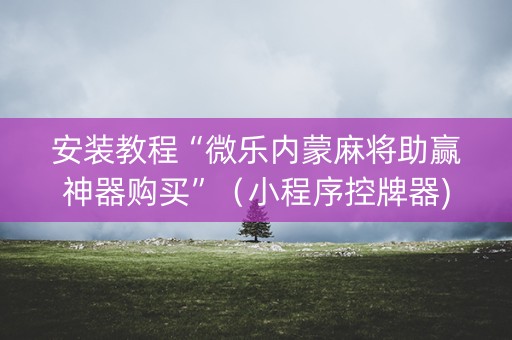 安装教程“微乐内蒙麻将助赢神器购买”（小程序控牌器)
