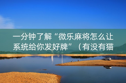 一分钟了解“微乐麻将怎么让系统给你发好牌”（有没有猫腻)