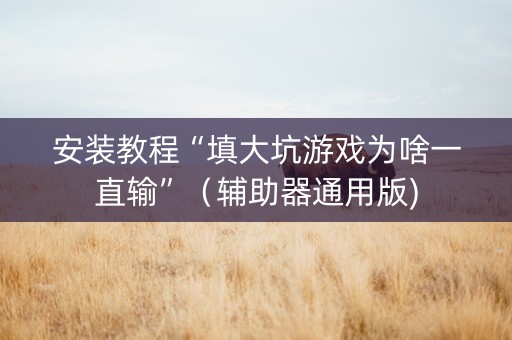 安装教程“填大坑游戏为啥一直输”（辅助器通用版)
