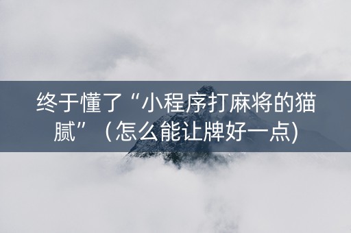 终于懂了“小程序打麻将的猫腻”（怎么能让牌好一点)