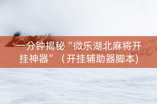 一分钟揭秘“微乐湖北麻将开挂神器”（开挂辅助器脚本)