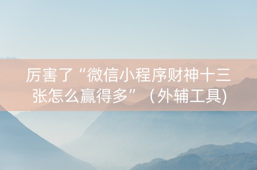 厉害了“微信小程序财神十三张怎么赢得多”（外辅工具)
