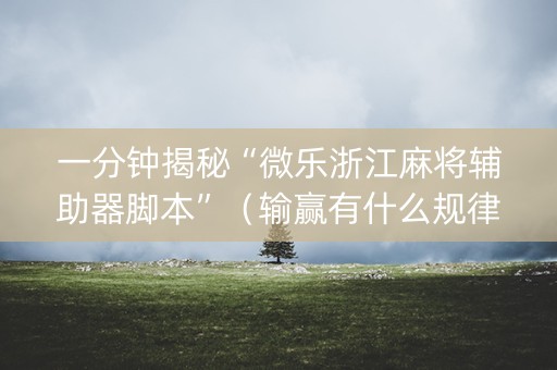 一分钟揭秘“微乐浙江麻将辅助器脚本”（输赢有什么规律)