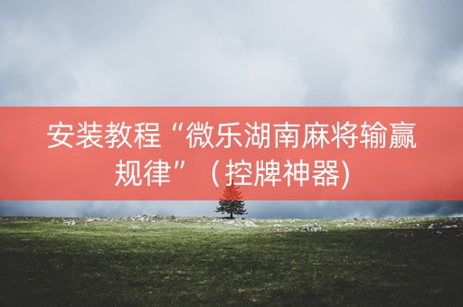 安装教程“微乐湖南麻将输赢规律”（控牌神器)