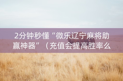 2分钟秒懂“微乐辽宁麻将助赢神器”（充值会提高胜率么)