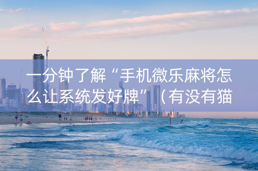 一分钟了解“手机微乐麻将怎么让系统发好牌”（有没有猫腻)
