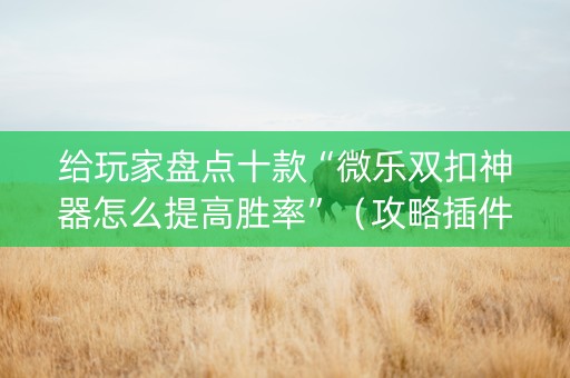 给玩家盘点十款“微乐双扣神器怎么提高胜率”（攻略插件)