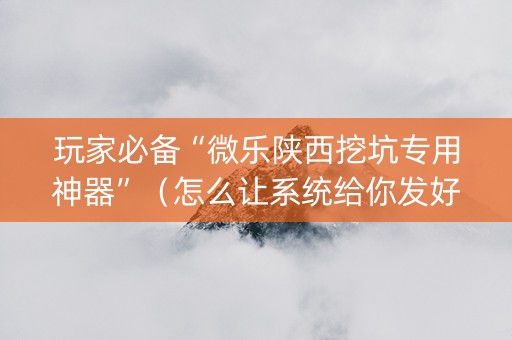 玩家必备“微乐陕西挖坑专用神器”（怎么让系统给你发好牌)