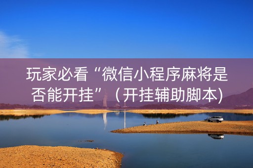 玩家必看“微信小程序麻将是否能开挂”（开挂辅助脚本)