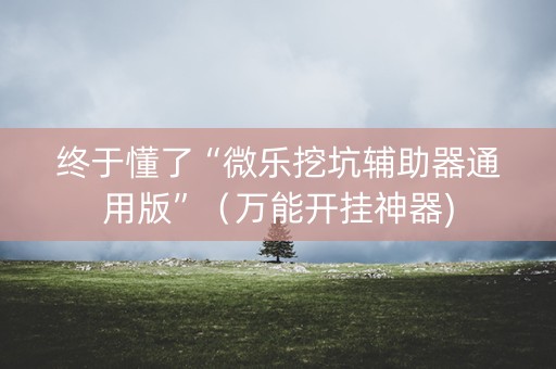 终于懂了“微乐挖坑辅助器通用版”（万能开挂神器)
