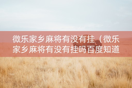 微乐家乡麻将有没有挂（微乐家乡麻将有没有挂吗百度知道）