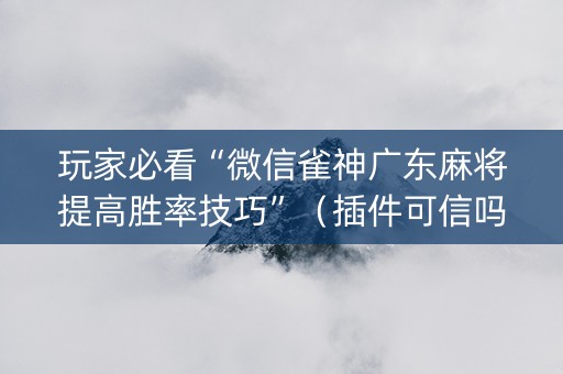 玩家必看“微信雀神广东麻将提高胜率技巧”（插件可信吗)