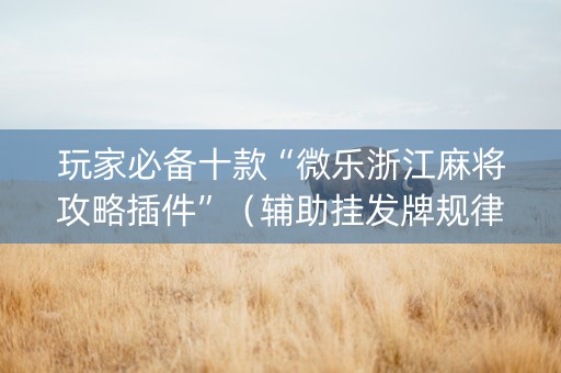 玩家必备十款“微乐浙江麻将攻略插件”（辅助挂发牌规律)
