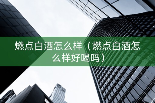 燃点白酒怎么样（燃点白酒怎么样好喝吗）