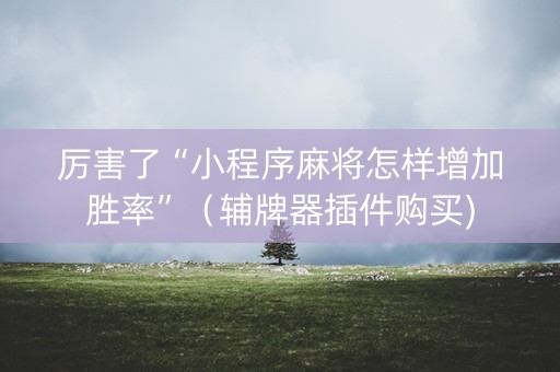 厉害了“小程序麻将怎样增加胜率”（辅牌器插件购买)