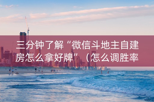 三分钟了解“微信斗地主自建房怎么拿好牌”（怎么调胜率)