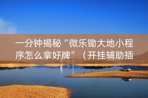 一分钟揭秘“微乐锄大地小程序怎么拿好牌”（开挂辅助插件)