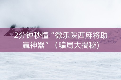 2分钟秒懂“微乐陕西麻将助赢神器”（骗局大揭秘)