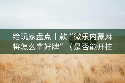 给玩家盘点十款“微乐内蒙麻将怎么拿好牌”（是否能开挂)