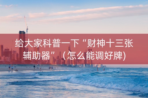 给大家科普一下“财神十三张辅助器”（怎么能调好牌)