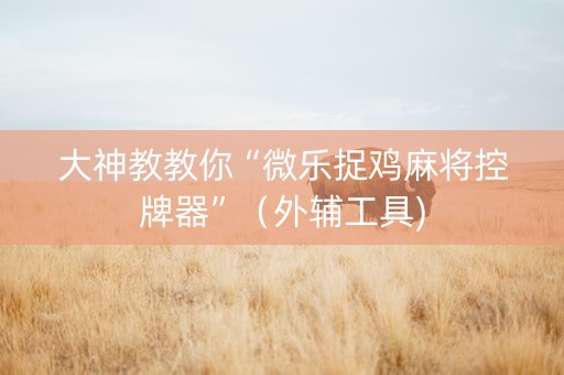 大神教教你“微乐捉鸡麻将控牌器”（外辅工具)