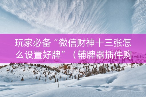 玩家必备“微信财神十三张怎么设置好牌”（辅牌器插件购买)