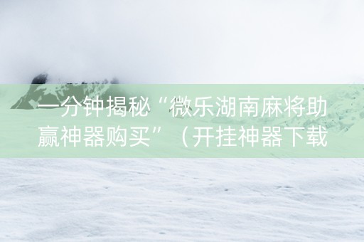 一分钟揭秘“微乐湖南麻将助赢神器购买”（开挂神器下载)