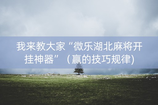 我来教大家“微乐湖北麻将开挂神器”（赢的技巧规律)