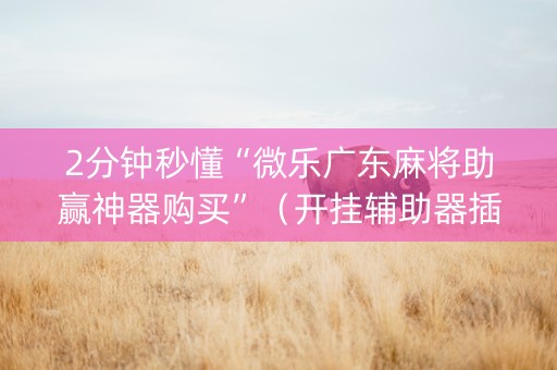 2分钟秒懂“微乐广东麻将助赢神器购买”（开挂辅助器插件)
