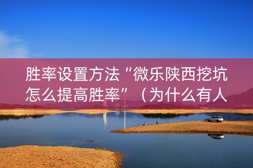 胜率设置方法“微乐陕西挖坑怎么提高胜率”（为什么有人一直赢)
