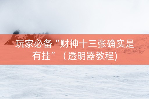 玩家必备“财神十三张确实是有挂”（透明器教程)