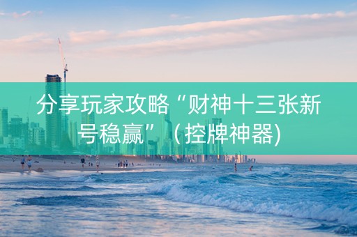 分享玩家攻略“财神十三张新号稳赢”（控牌神器)
