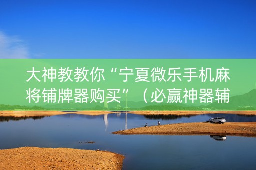 大神教教你“宁夏微乐手机麻将铺牌器购买”（必赢神器辅助器)