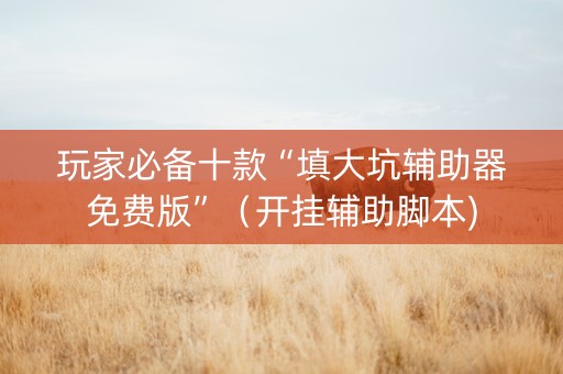 玩家必备十款“填大坑辅助器免费版”（开挂辅助脚本)