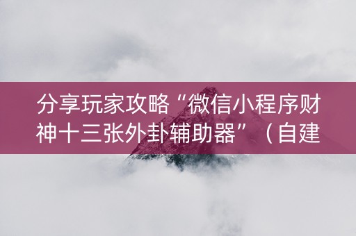 分享玩家攻略“微信小程序财神十三张外卦辅助器”（自建房怎么拿好牌)