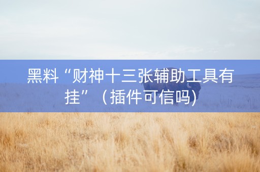 黑料“财神十三张辅助工具有挂”（插件可信吗)