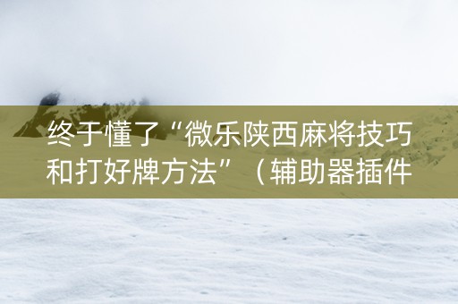 终于懂了“微乐陕西麻将技巧和打好牌方法”（辅助器插件)