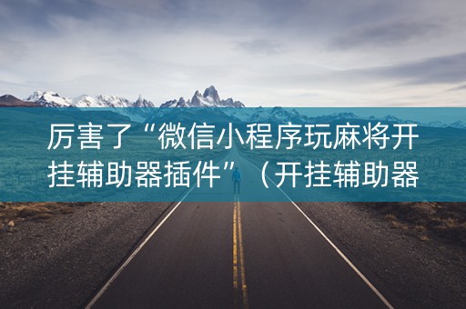 厉害了“微信小程序玩麻将开挂辅助器插件”（开挂辅助器脚本)