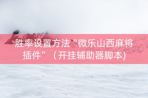 胜率设置方法“微乐山西麻将插件”（开挂辅助器脚本)